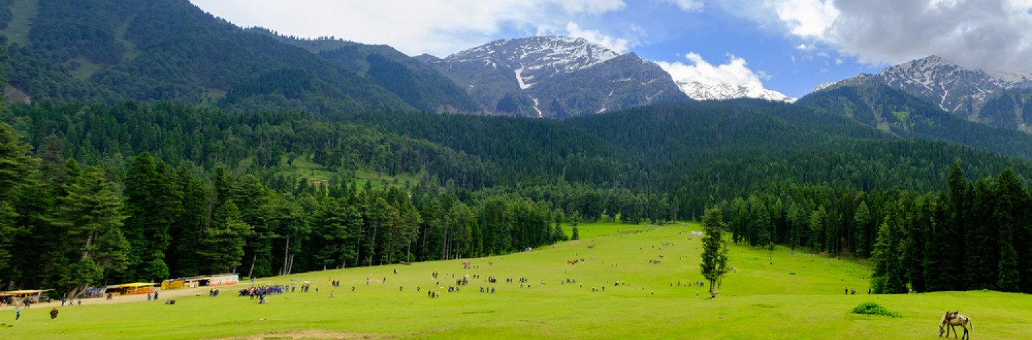 Paradise of Earth: The Traveller's Guide to Kashmir
