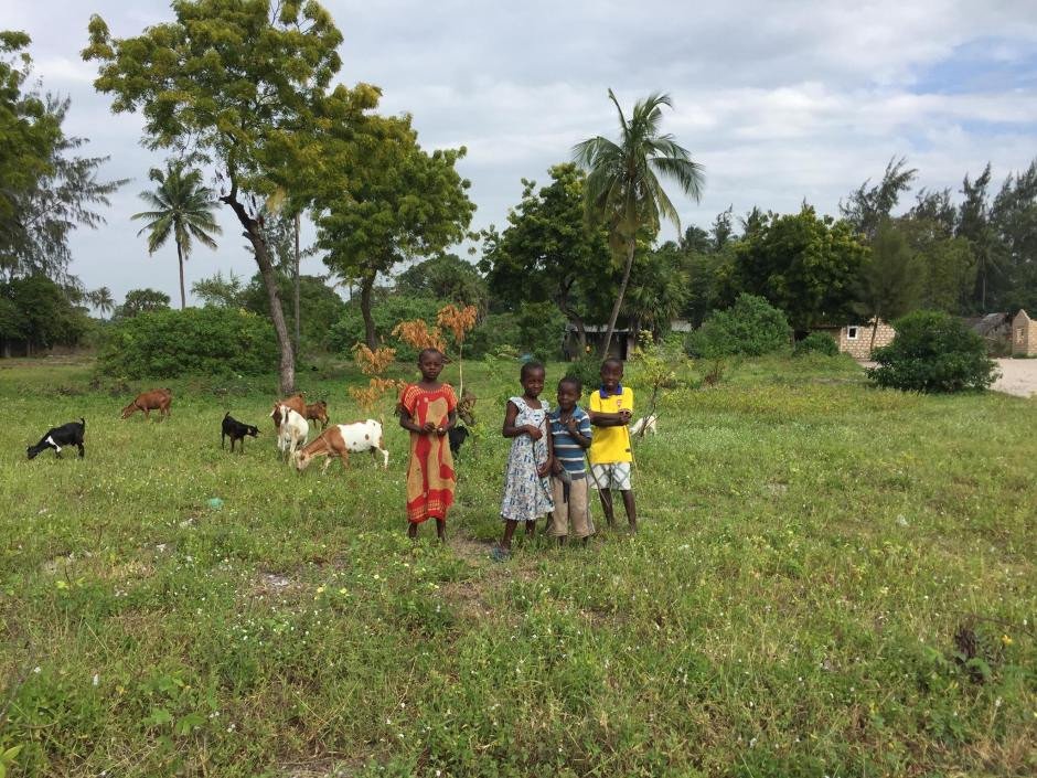 My East African discover: Part 1 - Kenya
