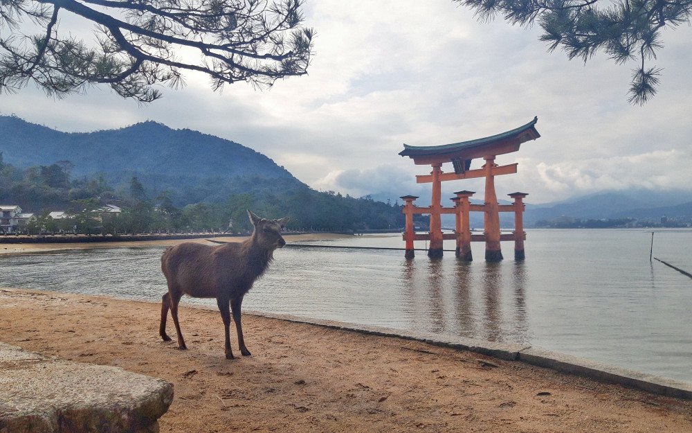 Japan Travel: Unusual Cities You Should Never Miss In Japan